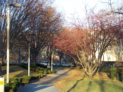 Photo of bike path between Mass Ave and Carter Playground