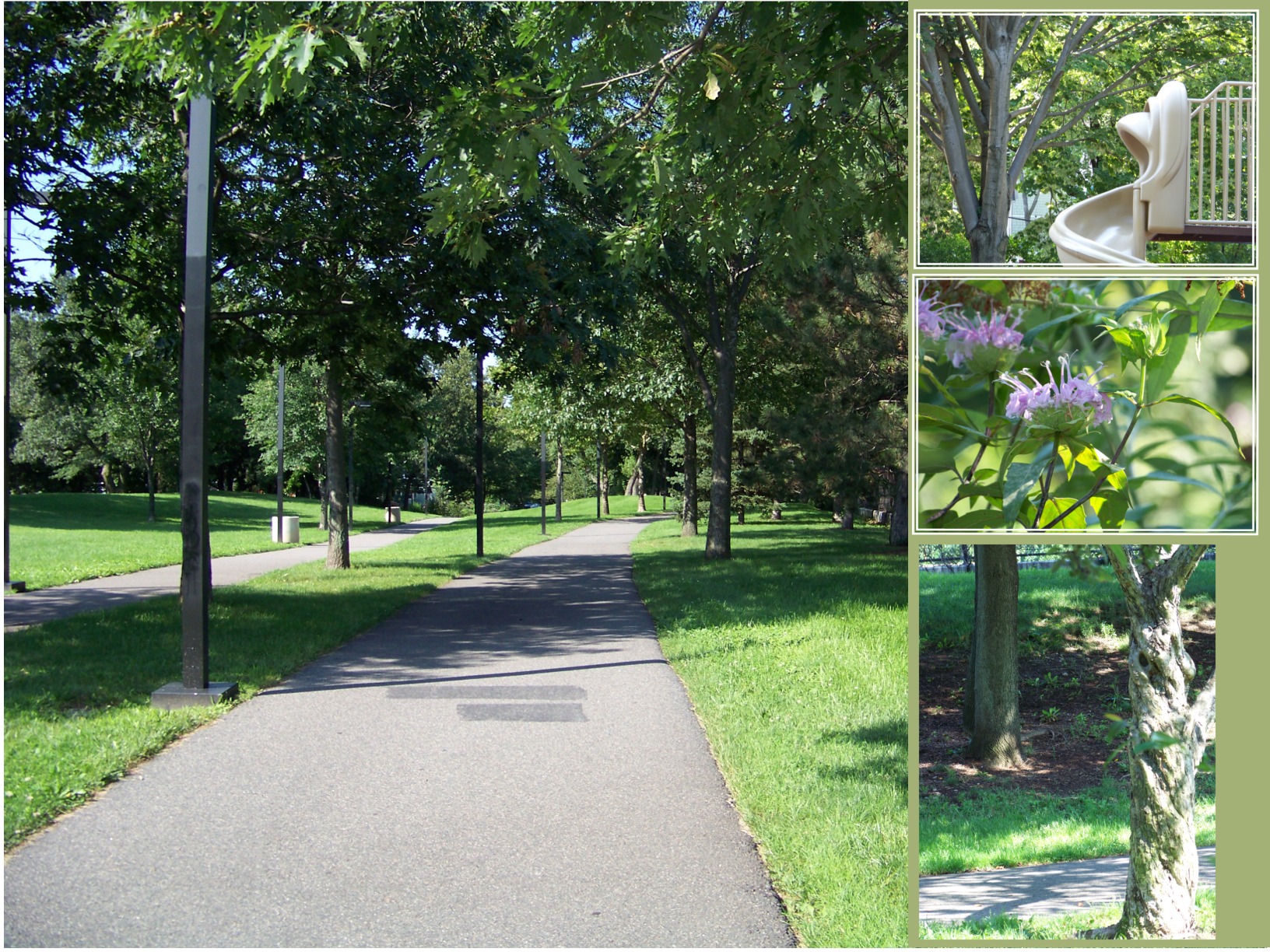 collage of images of the Southwest Corridor