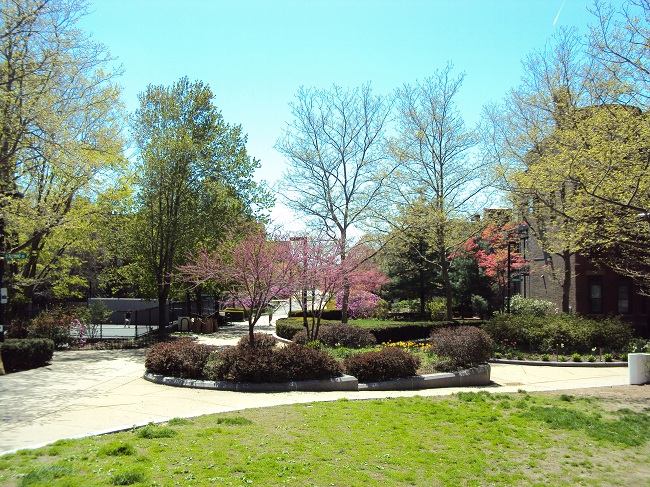 Spring 2011