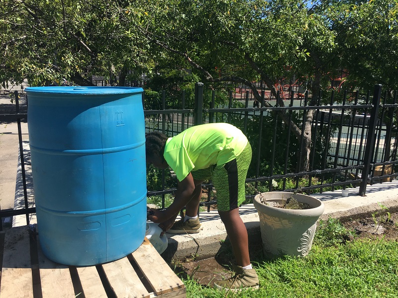Watering the childrens garden at Jackson Sq.